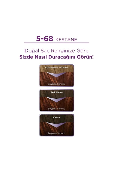 Palette Göz Alıcı Renkler 5-68 Kestane x 3 Adet - Resim 2