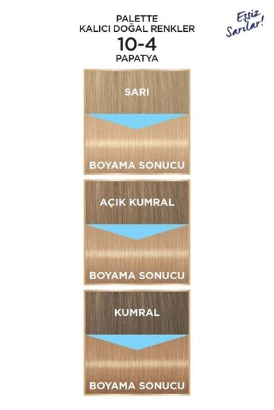 Palette Kalıcı Doğal Renkler 10-4 Papatya - 3
