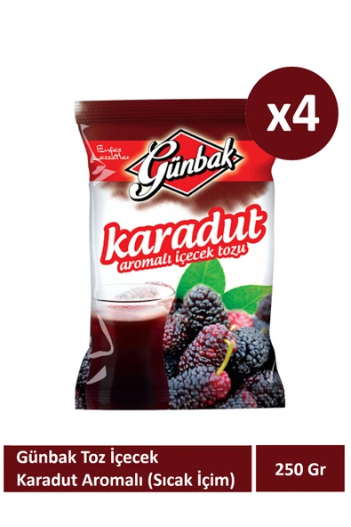 Günbak 250 Karadut Aromalı Toz İçecek x 4 Adet ürün görseli