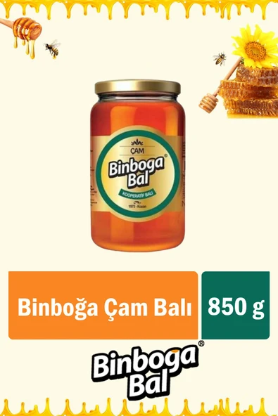 Binboğa Çam Balı 850 gr (Cam Kavanoz) - 1