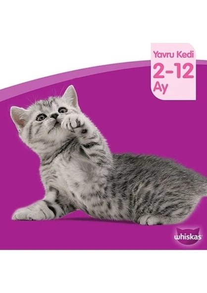 Whiskas Junior Yavru Klasik Öğünler Sığırlı Tavuklu 4X85 gr (6ADET) - 2