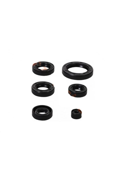 CTVR AGK 125 KECE TAKIMI #AGK-125-077 ürün görseli 1