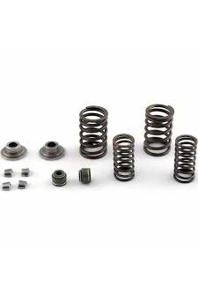ASİL MOTOR SUBAP YAY VE TIRNAĞI CG.