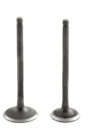 VTC Fizy 125-agılıty 125 Subap Takımı 53537 ürün görseli 1