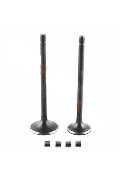 ÇELİKMOTO SUBAP TAKIMI [TIRNAKLI] [DQ] CG 100 #57548 ürün görseli 1