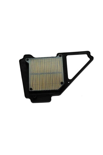 monero DELTAFORCE YAMAHA YBR 125 (2008) KAGIT HAVA FILTRESI #Y4DLT5012A0094
