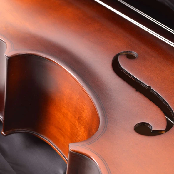 Çello (Viyolonsel) 4/4 Mat El Cilalı MC44GEM - 4