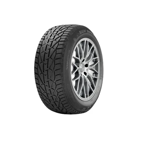 RIKEN 195/65R15 95T XL Snow Üretim Yılı: 2024