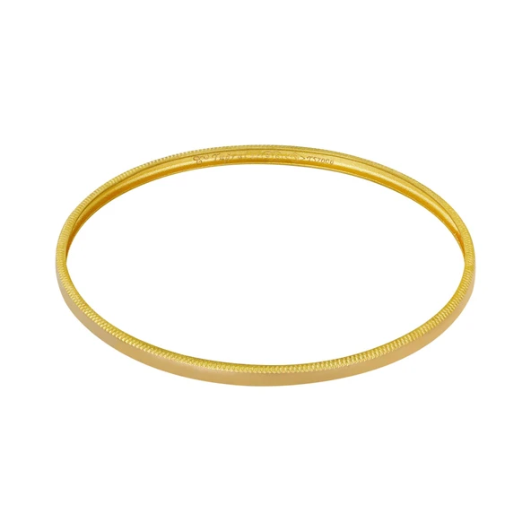 7 gr(gram) 22 Ayar İşçiliksiz Tia Dilan Bilezik ürün görseli 1