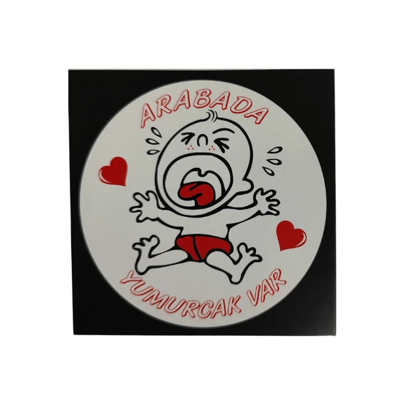 Araç Cam Çıkartma 15 ("ARABADA YUMURCAK VAR")