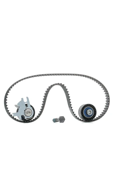 DAYCO KTB310-EKSANTRIK RULMAN KITI 1.4 HDI BIPPER 08  0831.T3 - 1