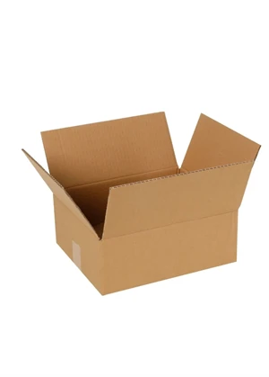 DOPEL BASKISIZ TAŞIMA KOLİSİ 29x20x12 ürün görseli