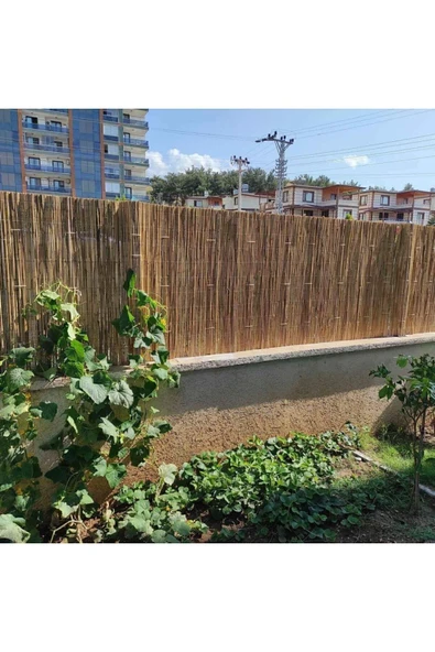 POLYBOTUM BAMBU Hasır Kamış Balkon Çiti Dekerasyon 1x5 Metre - 4