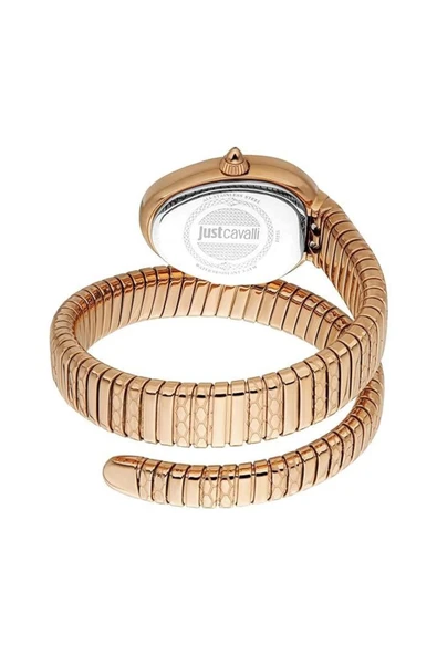 Just Cavalli JC1L222M0045 Kadın Kol Saati - Resim 2