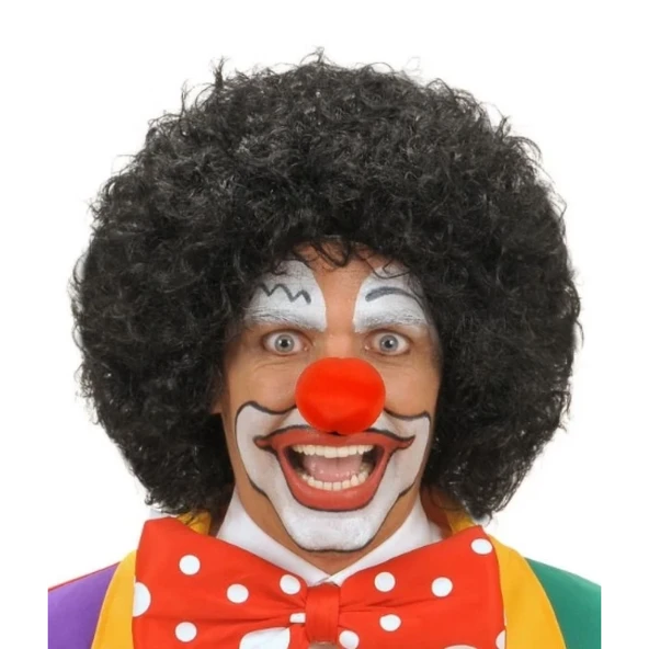 Siyah Renk Kıvırcık Afro Bonus Peruk Saç Ve Kırmızı Sünger Burun Seti ürün görseli 1