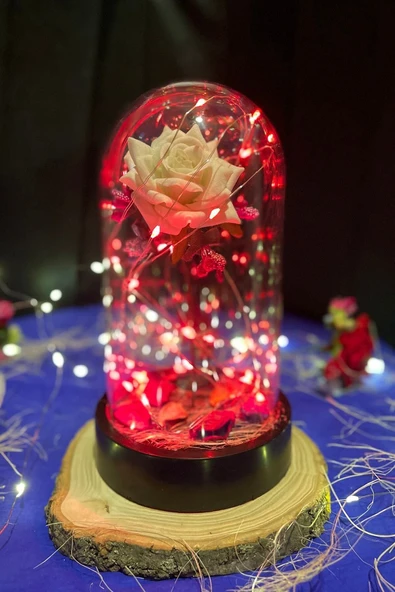 Celestia Anneler Gününe Özel Beyaz Gül Kırmızı Fanus Lamba Usb'li Yapay Çiçek Dekoratif Aydınlatma Hediyelik - Resim 3