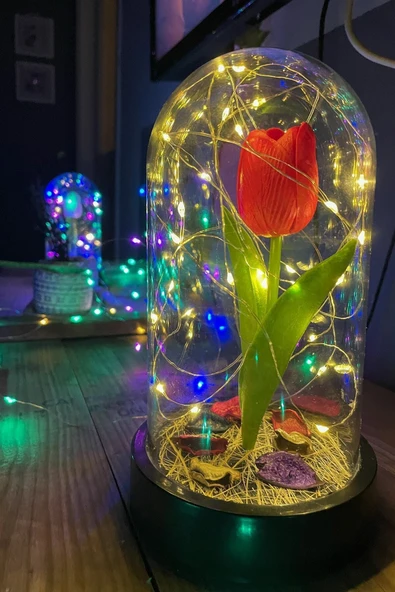 Celestia Anneler Gününe Özel Kırmızı Lale Peri Fanus Lamba Usb'li Yapay Çiçek Dekoratif Aydınlatma Hediyelik - Resim 8