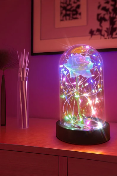 Celestia Sevgiliye Hediye Beyaz Gül Rgb Aşk Fanusu Lamba Usb'li Yapay Çiçek Dekoratif Aydınlatma Hediyelik ürün görseli 1