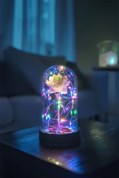 Celestia Sevgiliye Hediye Beyaz Gül Rgb Aşk Fanusu Lamba Usb'li Yapay Çiçek Dekoratif Aydınlatma Hediyelik - Resim 2
