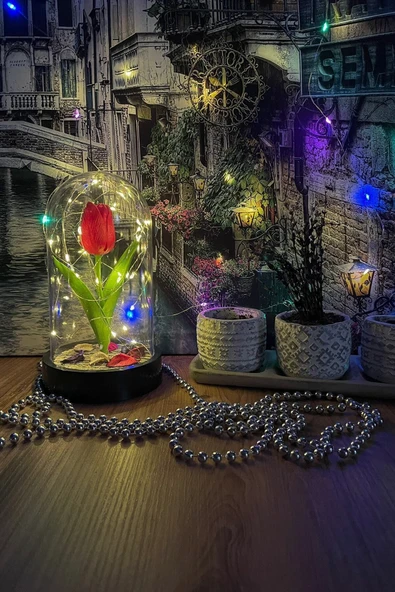 Celestia Sevgiliye Hediye Kırmızı Lale Peri Led Işıklı Aşk Fanusu Lamba Usb'li Yapay Çiçek Dekoratif Hediye - Resim 4