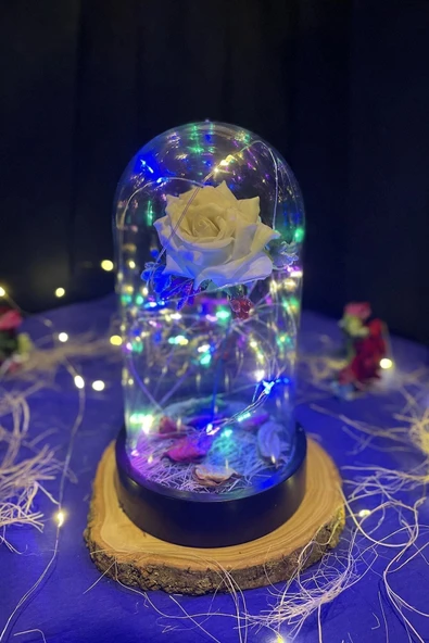 Celestia Anneler Gününe Özel Beyaz Gül Rgb Fanus Lamba Usb'li Yapay Çiçek Dekoratif Aydınlatma Hediyelik - Resim 5