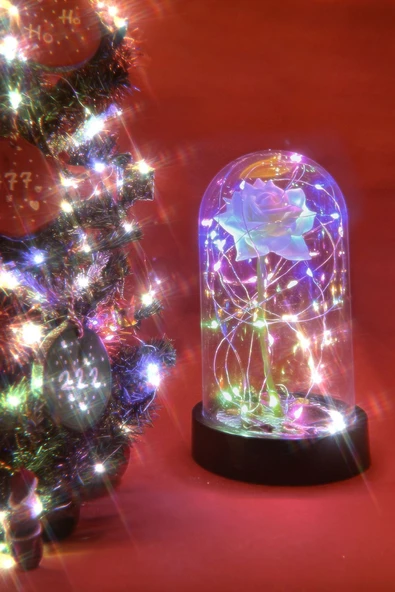 Celestia Sevgiliye Hediye Beyaz Gül Rgb Aşk Fanusu Lamba Usb'li Yapay Çiçek Dekoratif Aydınlatma Hediyelik - Resim 4