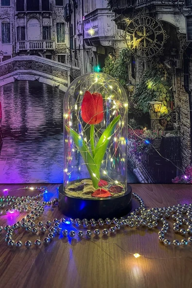 Celestia Sevgiliye Hediye Kırmızı Lale Peri Led Işıklı Aşk Fanusu Lamba Usb'li Yapay Çiçek Dekoratif Hediye - Resim 5