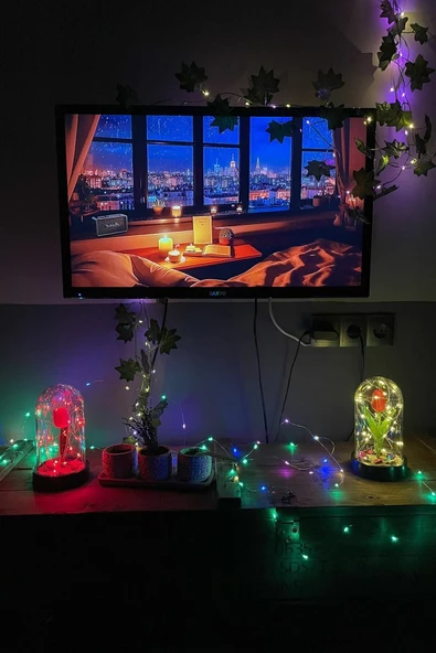 Celestia Sevgiliye Hediye Kırmızı Lale Peri Led Işıklı Aşk Fanusu Lamba Usb'li Yapay Çiçek Dekoratif Hediye - Resim 6