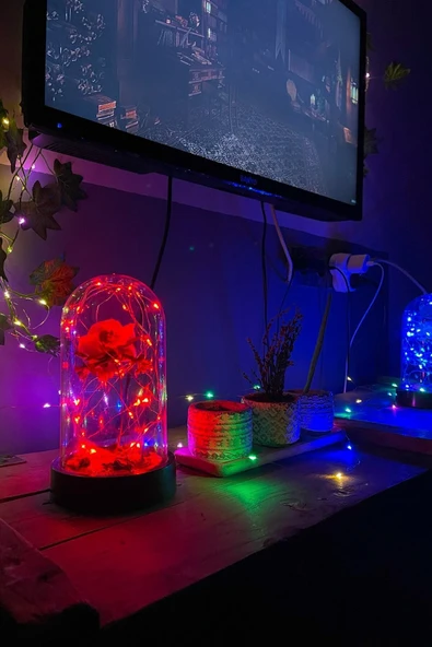 Celestia Sevgiliye Hediye Beyaz Gül Işıklı Aşk Fanusu Lamba Usb'li Yapay Çiçek Dekoratif Aydınlatma Hediyelik - Resim 4