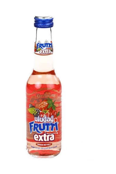 Uludağ Frutti Extra Orman Meyveli 250 Ml ürün görseli 1