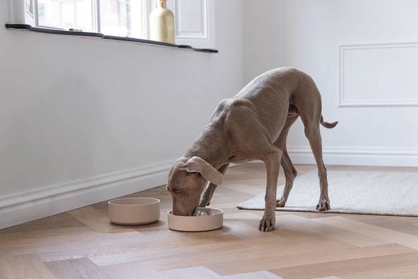Beeztees DBL Köpek Yavaş Besleme Mama Kabı, Bambu, Bej, 21cm, 1430ml - Resim 4