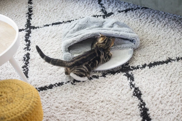 Beeztees Yavru Kedi Oyun Yatağı, Oyuncaklı, 50x40x15cm - Resim 7