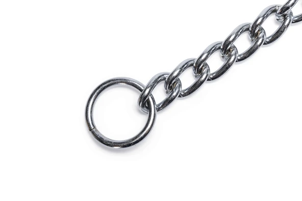 Beeztees Köpek Boyun Tasması, Zincir, 80x1x0,40cm - Resim 3