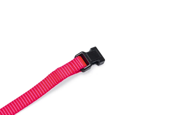 Beeztees Yavru Köpek Boyun Tasması, Çeşitli Renklerde, 22-35cm, 10mm - Resim 3