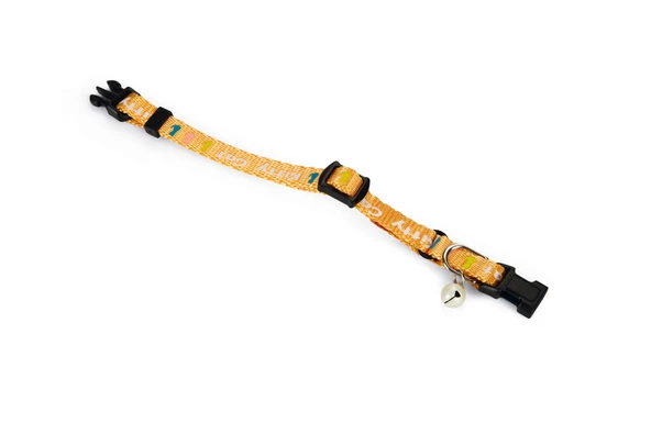 Beeztees Yavru Kedi Boyun Tasması, Zilli, Sarı, 17,5-23cm - Resim 3
