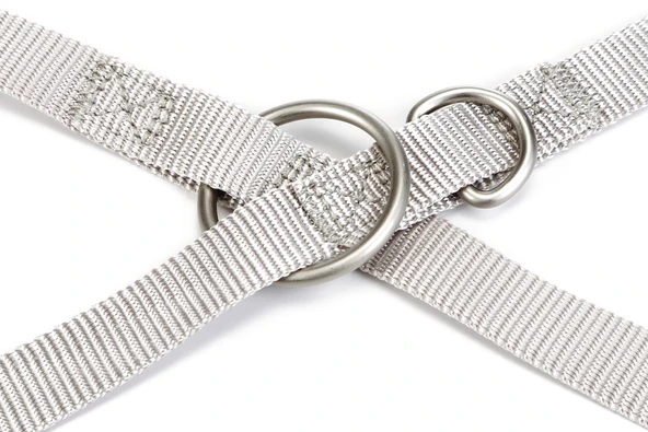 Beeztees Köpek Gezdirme Kayışı, Açık Gri, 120cm, 20mm - Resim 3