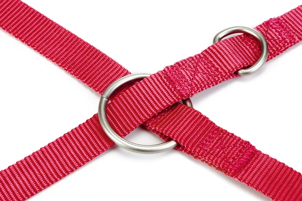 Beeztees Köpek Gezdirme Kayışı, Pembe, 200cm, 20mm - Resim 3