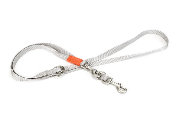 Beeztees Köpek Gezdirme Kayışı, Açık Gri, 120cm, 20mm ürün görseli