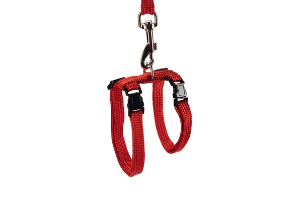 Beeztees Kedi Göğüs Tasması ve Gezdirme Kayışı, 130cm, Kırmızı