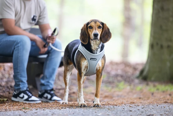 Beeztees Köpek Göğüs Tasması, Neopren,Gri, M, 41-46cm - 4