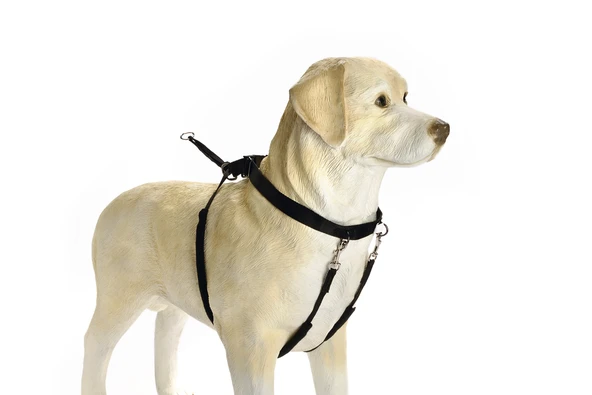 Beeztees Köpek Yürüyüş Eğitim ve Düzeltme Tasması, S