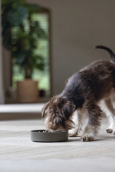 Beeztees DBL Köpek Yavaş Besleme Mama Kabı, Bambu, Antrasit, 17cm, 800ml - Resim 2