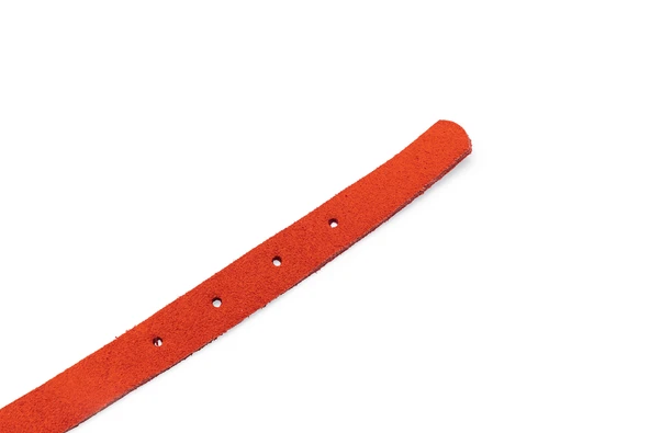 Beeztees Kedi Boyun Tasması, Süet, Kırmızı, 24-29cm - Resim 6