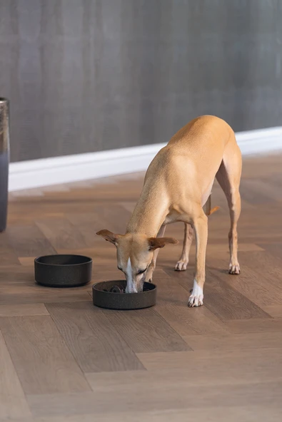 Beeztees DBL Köpek Yavaş Besleme Mama Kabı, Bambu, Antrasit, 17cm, 800ml - Resim 4