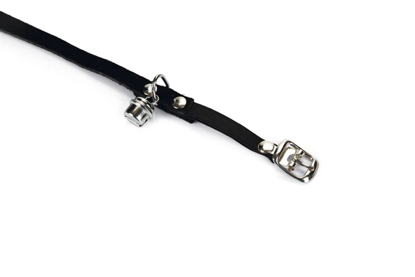 Beeztees Kedi Boyun Tasması, Süet, Siyah, 24-29cm - Resim 2