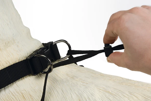 Beeztees Köpek Yürüyüş Eğitim ve Düzeltme Tasması, S - Resim 4