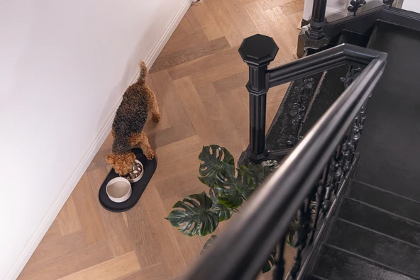 Beeztees DBL Köpek Mama Su Kabı, Bambu, Bej, 17cm, 800ml - Resim 3