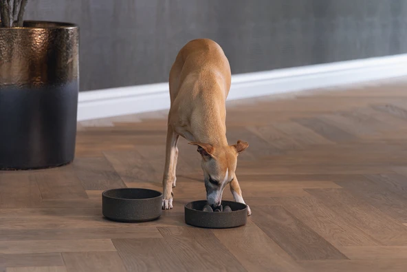 Beeztees DBL Köpek Yavaş Besleme Mama Kabı, Bambu, Antrasit, 17cm, 800ml - Resim 3