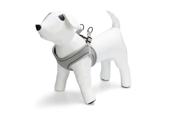 Beeztees Köpek Göğüs Tasması, Neopren,Gri, M, 41-46cm