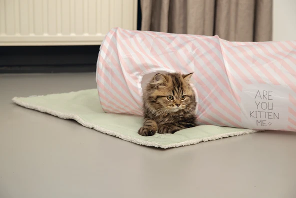 Beeztees Yavru Kedi Oyun Tüneli, 60x24x24cm - Resim 2